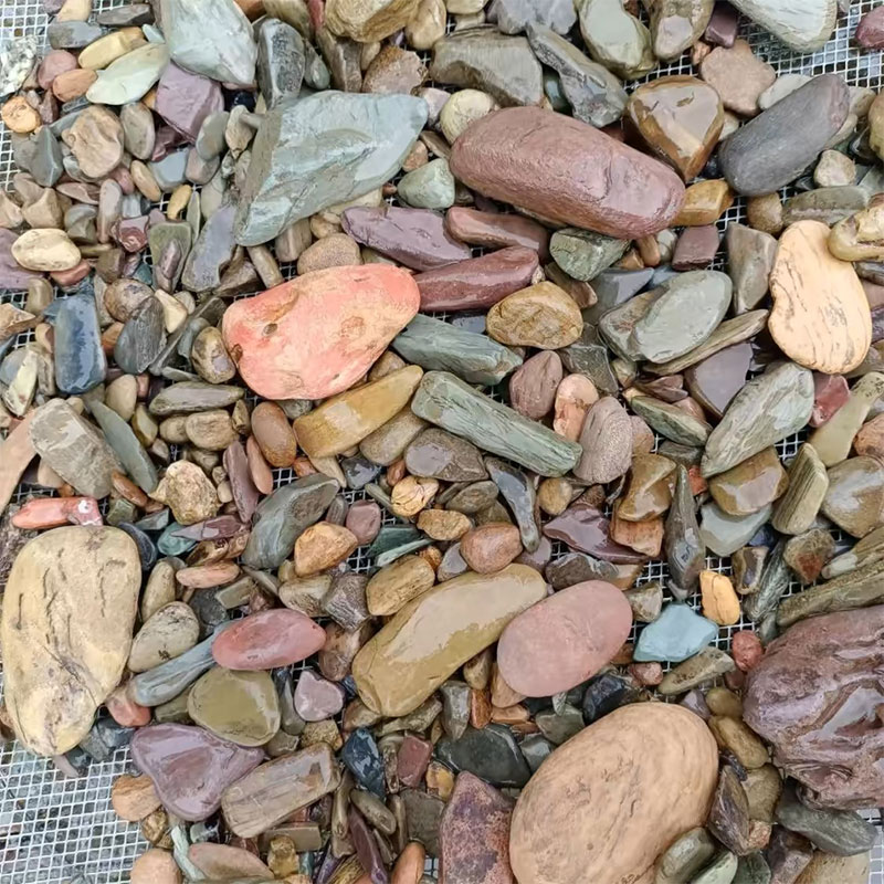 500g Fish Tank Bottom Sand Sto - Planted Aquarium With Sand 评论和价格