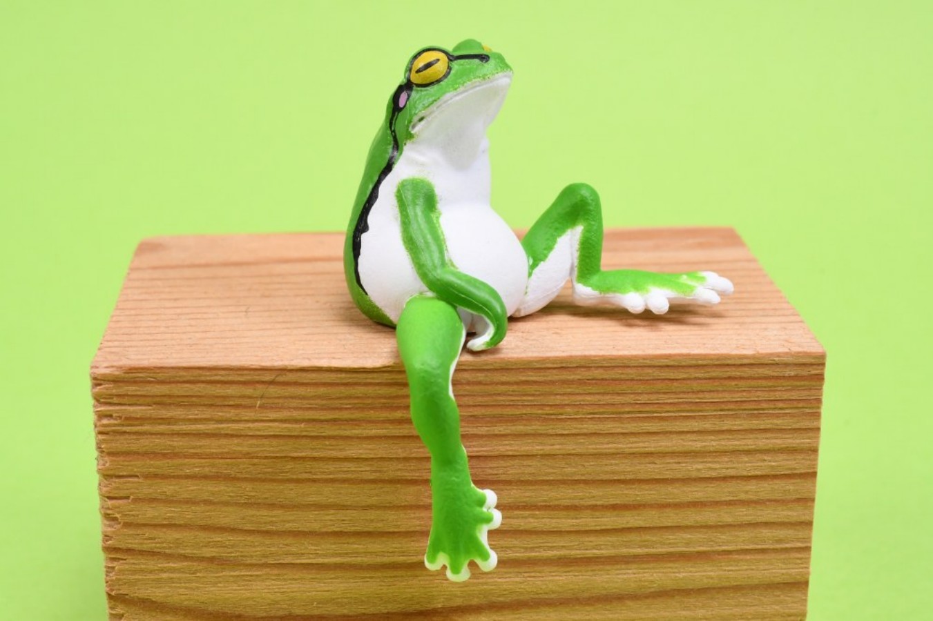 YELL Capsule Toys Kawaii Resti - Aquarium Plant Guide 评论和价格