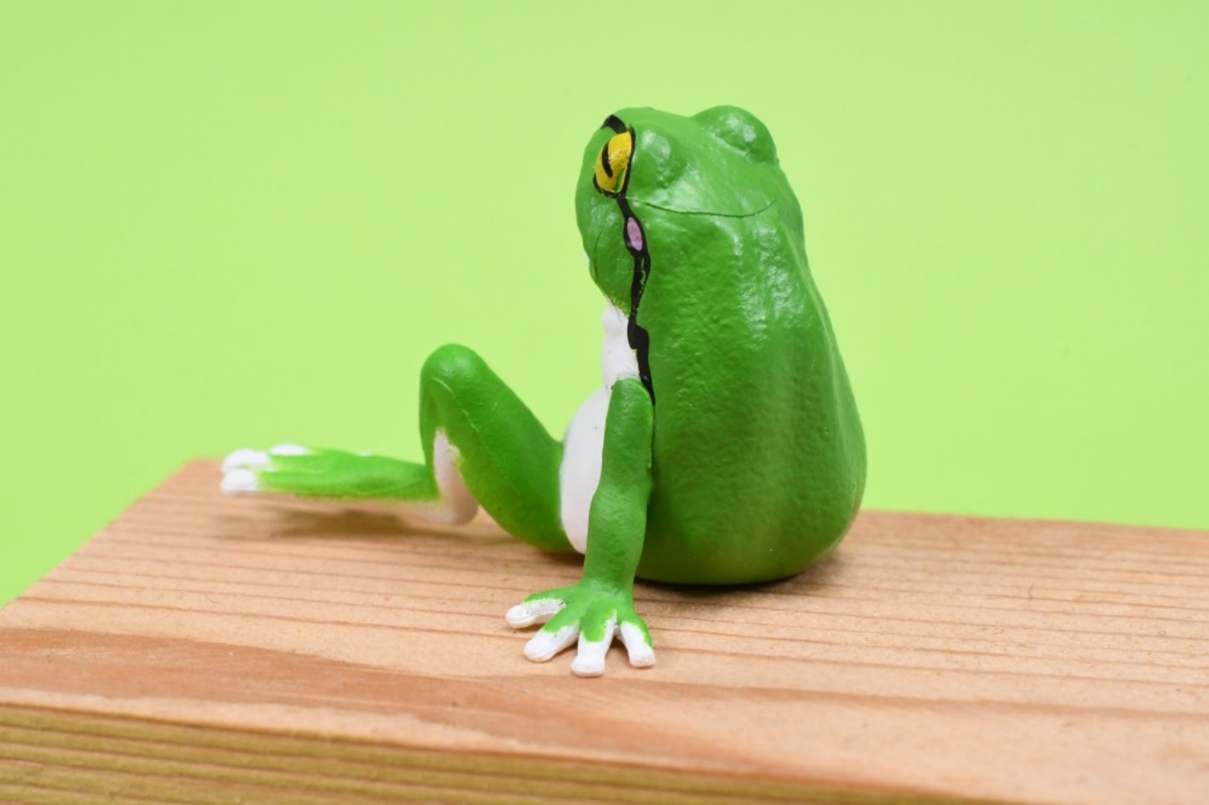 YELL Capsule Toys Kawaii Resti - Aquarium Plant Guide 评论和价格