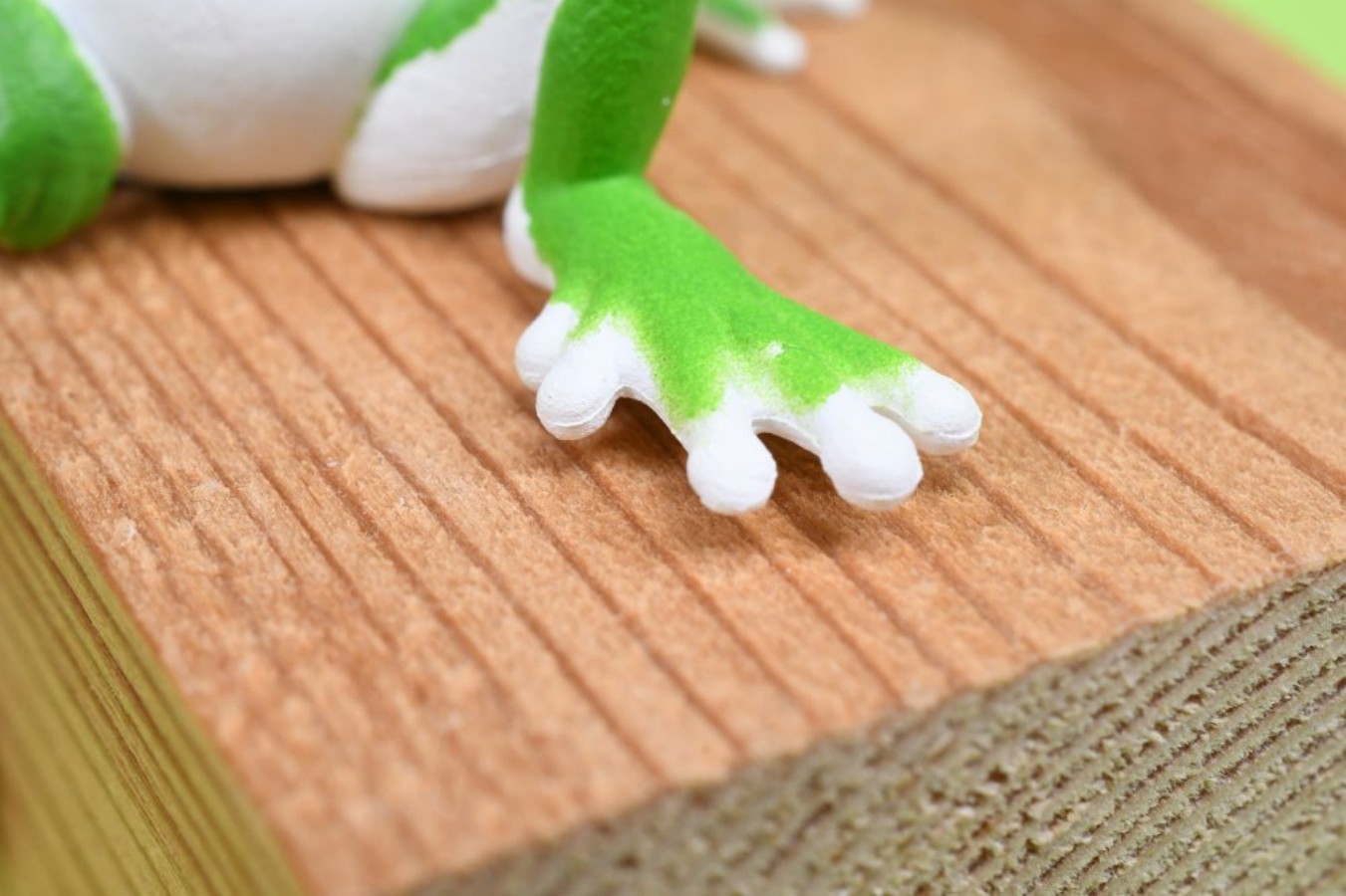 YELL Capsule Toys Kawaii Resti - Aquarium Plant Guide 评论和价格