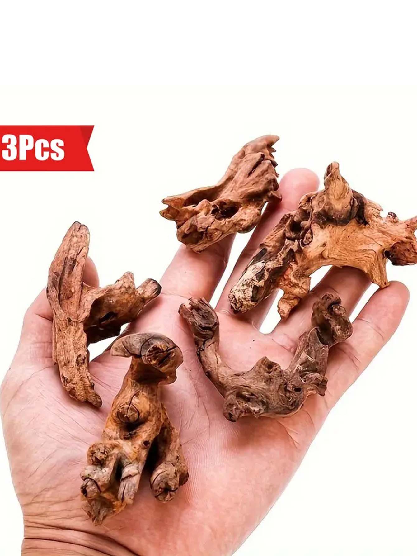 5-10CM Small Natural Tree Trun - Aquarium Plant Guide 评论和价格