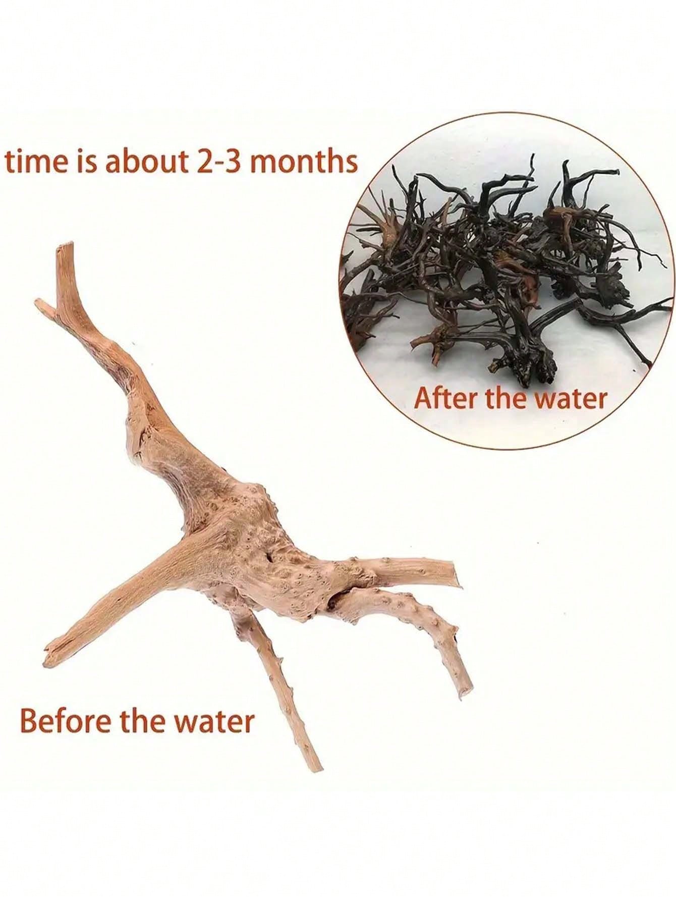5-10CM Small Natural Tree Trun - Aquarium Plant Guide 评论和价格