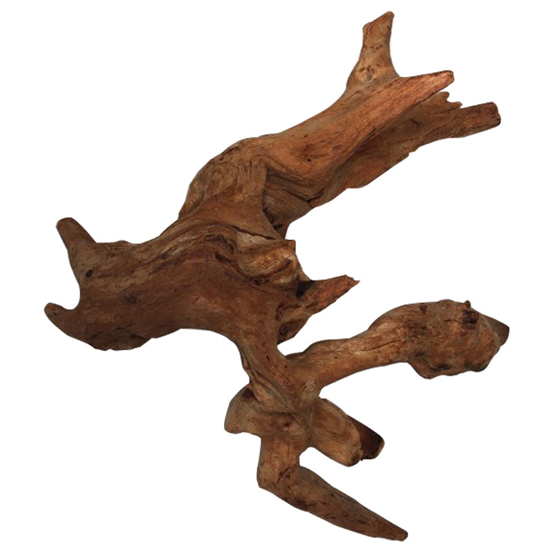 Natural Tree Trunk Aquarium De - Aquarium Plant Guide 评论和价格