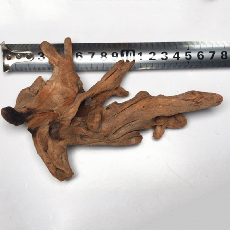 Natural Tree Trunk Aquarium De - Aquarium Plant Guide 评论和价格