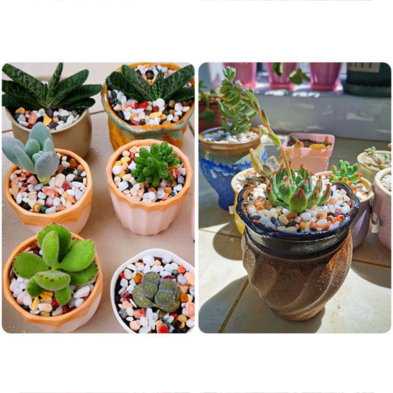 5mm Natural Aquarium Sand 200g - Planted Aquarium With Sand 评论和价格