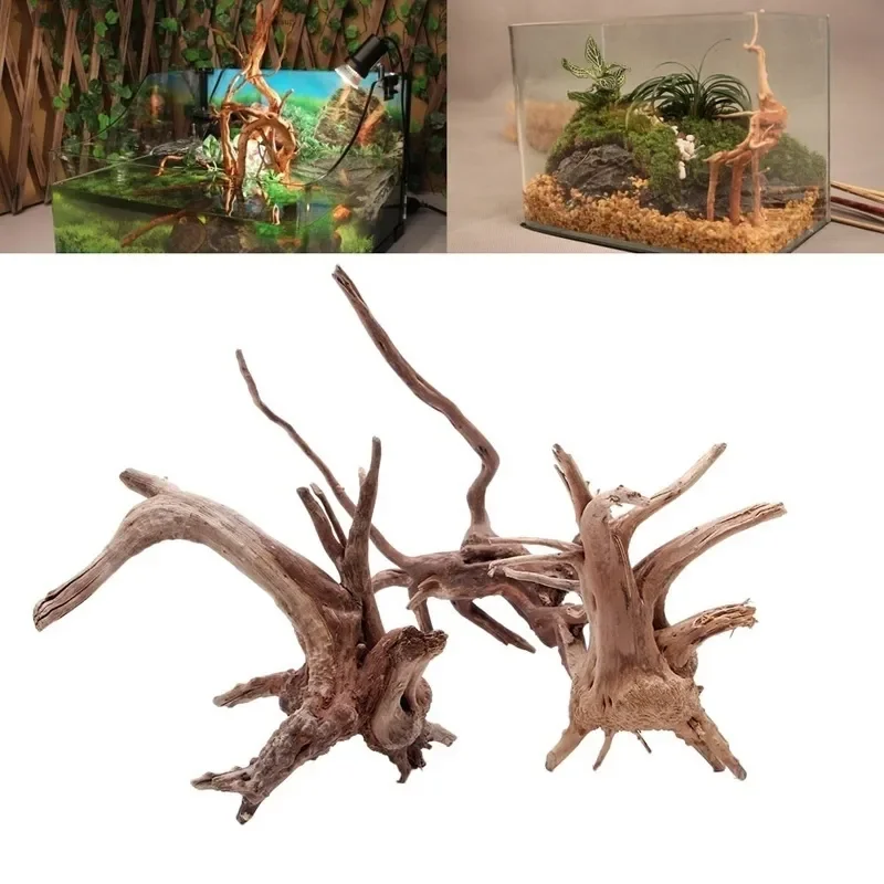 Natural Tree Trunk Driftwood A - Aquarium Plant Guide 评论和价格
