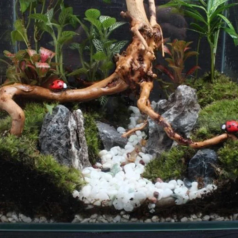 Natural Tree Trunk Driftwood A - Aquarium Plant Guide 评论和价格