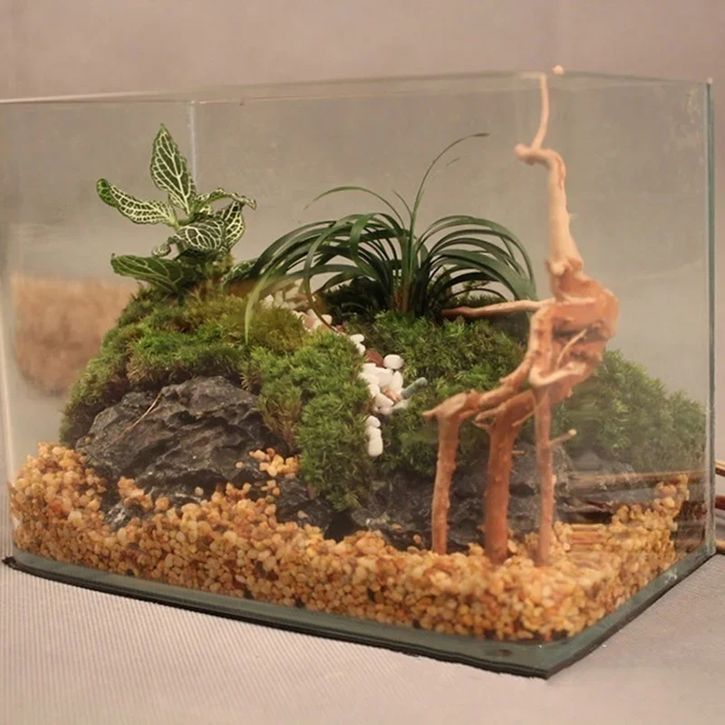 Natural Tree Trunk Driftwood A - Aquarium Plant Guide 评论和价格