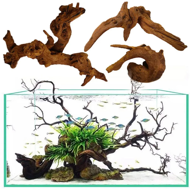 Hot Selling New Fish Tank Deco - Aquarium Plant Guide 评论和价格