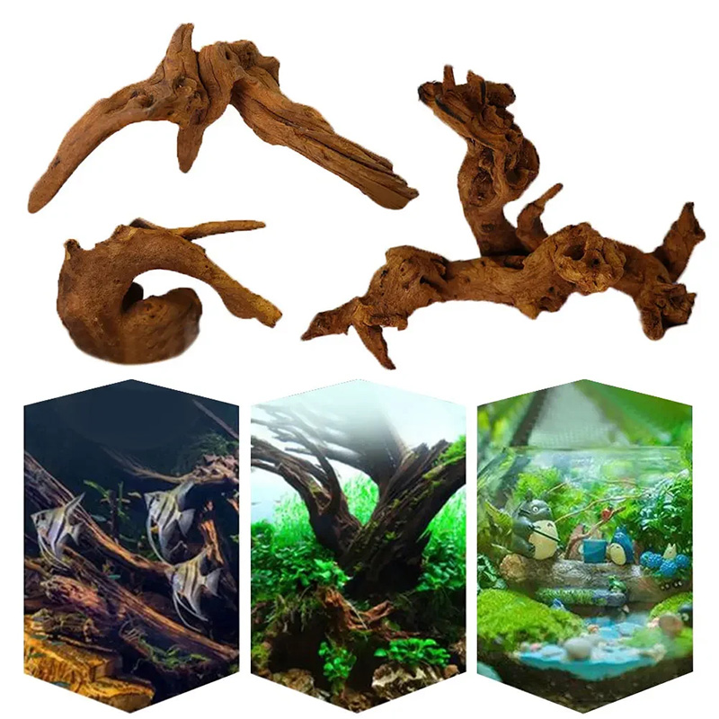 Hot Selling New Fish Tank Deco - Aquarium Plant Guide 评论和价格
