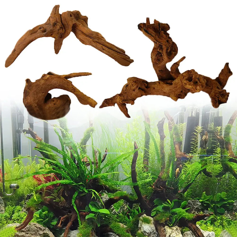 Hot Selling New Fish Tank Deco - Aquarium Plant Guide 评论和价格