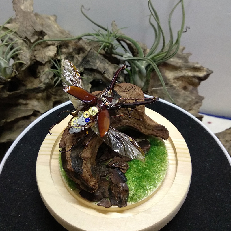 Hot Selling New Fish Tank Deco - Aquarium Plant Guide 评论和价格
