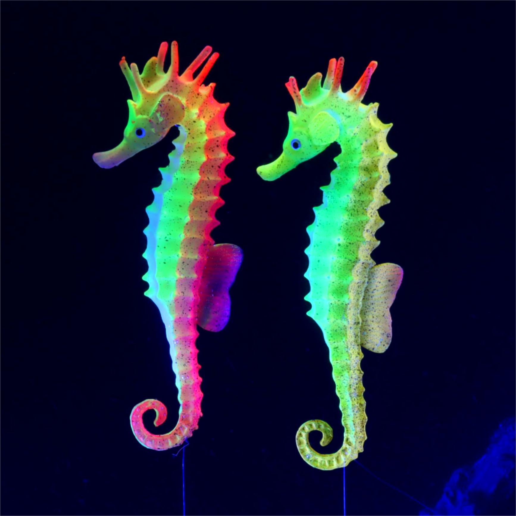 1pc Fish Tank Decoration Lumin - Aquarium Plant Gel 评论和价格
