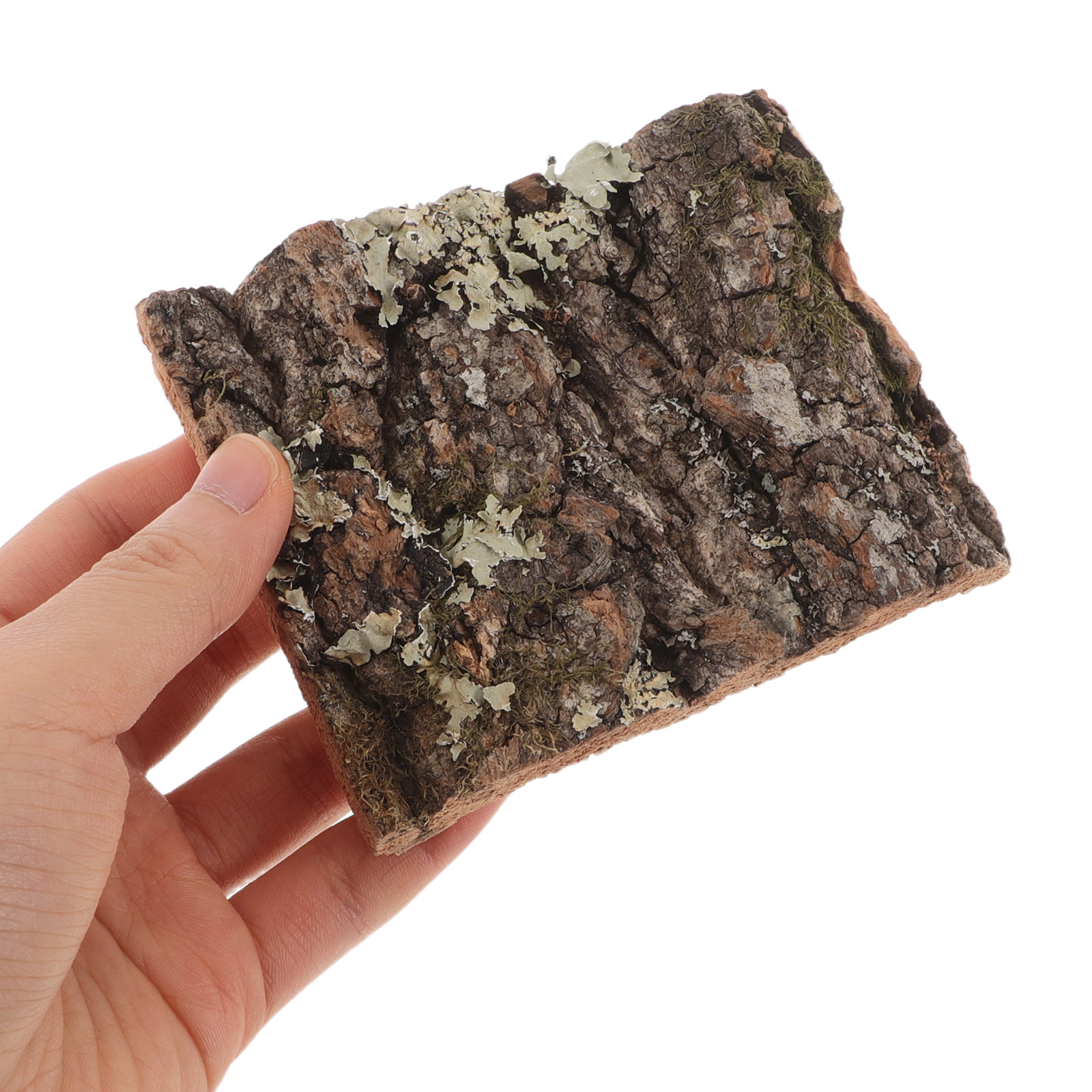 Cork Bark Tree Bark for Reptil - Aquarium Plant Guide 评论和价格
