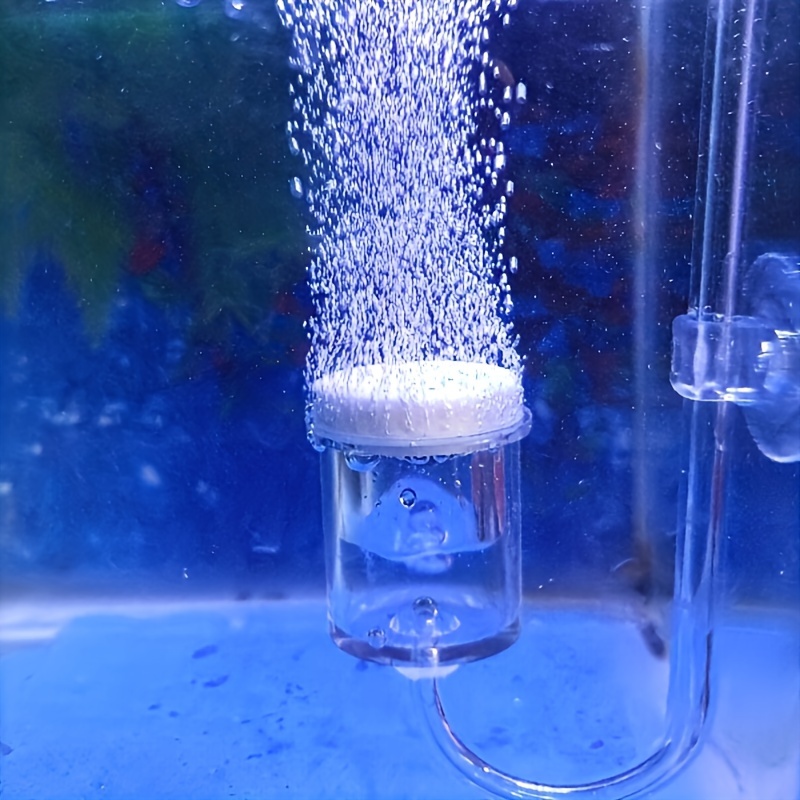 Aquarium Glass CO2 Atomizer Di - Aquarium Planted Fish Tank 评论和价格