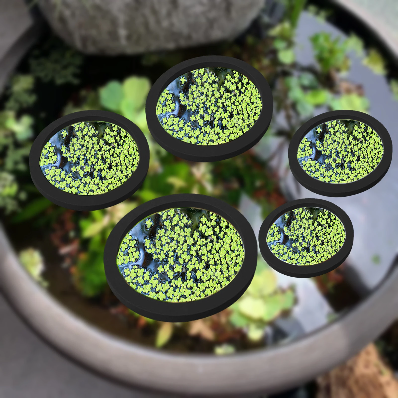 5Pcs EVA Fish Feeding Ring Aqu - Aquarium Plant 评论和价格