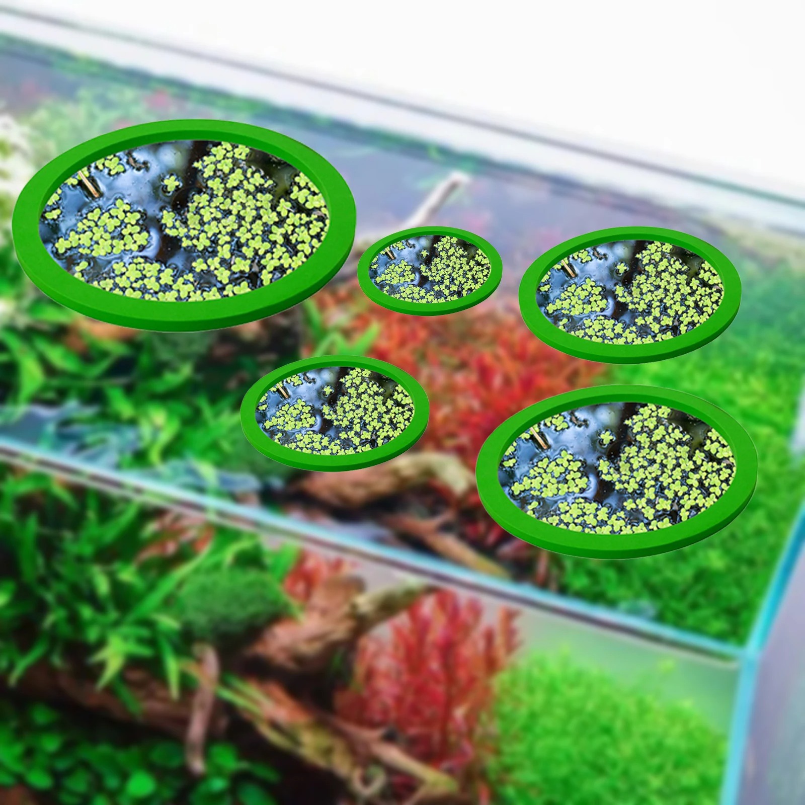 5Pcs EVA Fish Feeding Ring Aqu - Aquarium Plant 评论和价格