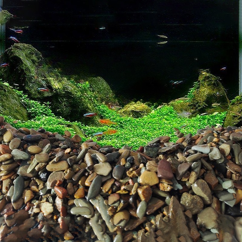 Stream Pebbles Aquarium Bottom - Planted Aquarium With Sand 评论和价格