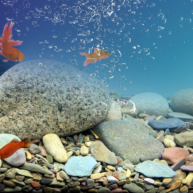 Stream Pebbles Aquarium Bottom - Planted Aquarium With Sand 评论和价格