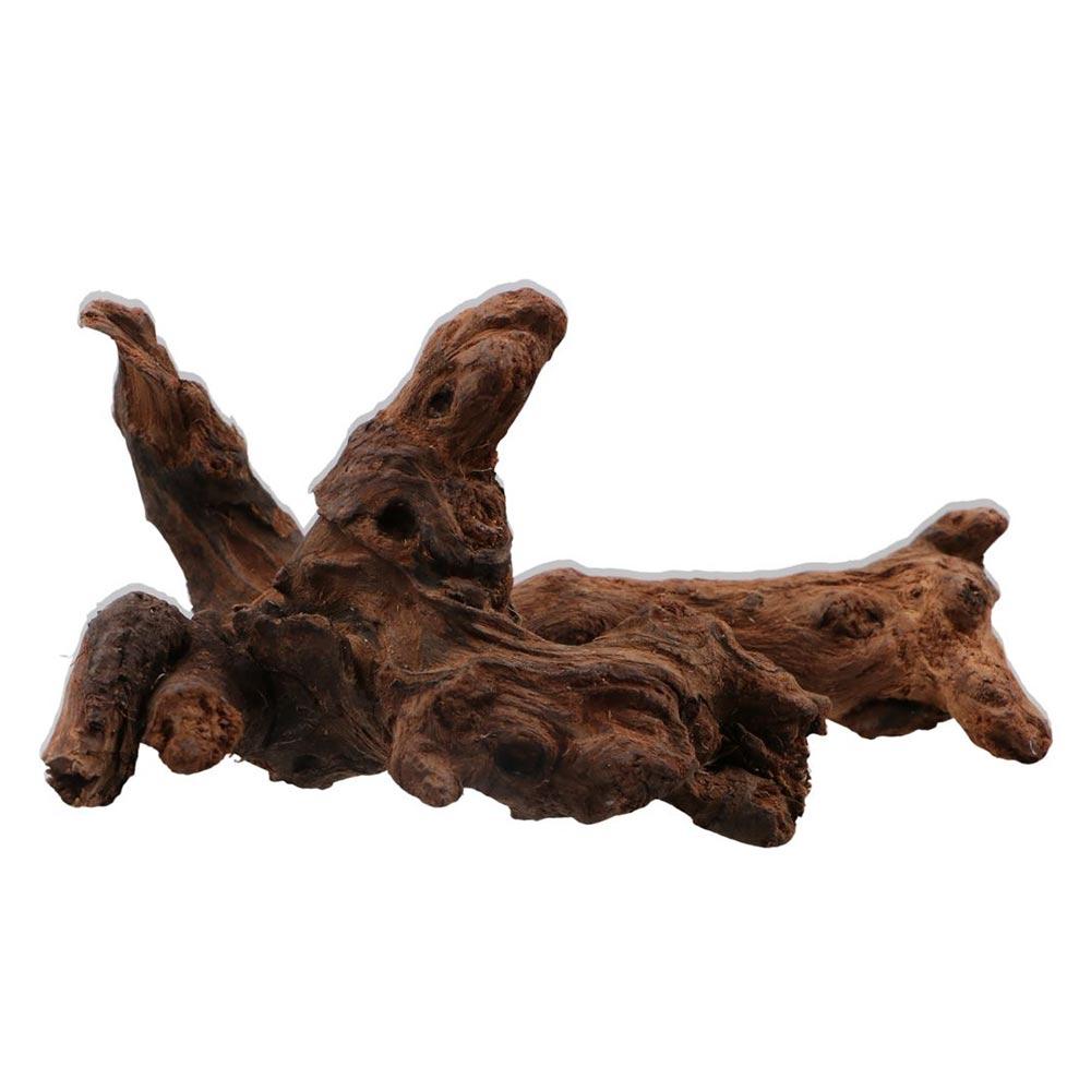 Creative Irregular Shape Coral - Aquarium Plant Guide 评论和价格