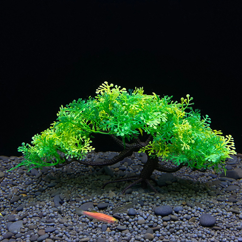 Aquarium Bonsai Tree, Plant, F - Aquarium Plant Guide 评论和价格