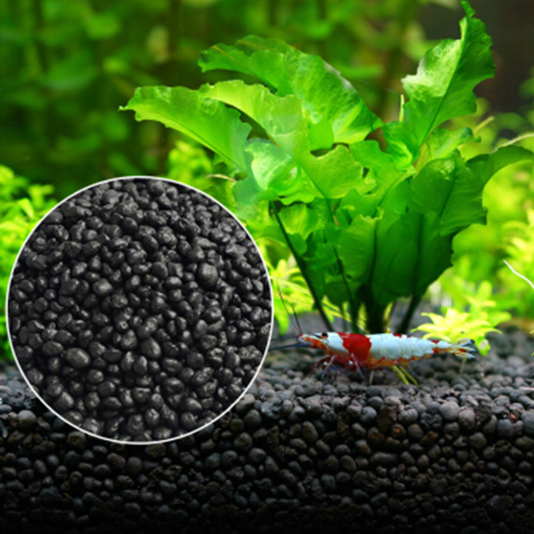 Aquarium Plant Seeds Soil Fish - Aquarium Planted Fish Tank 评论和价格