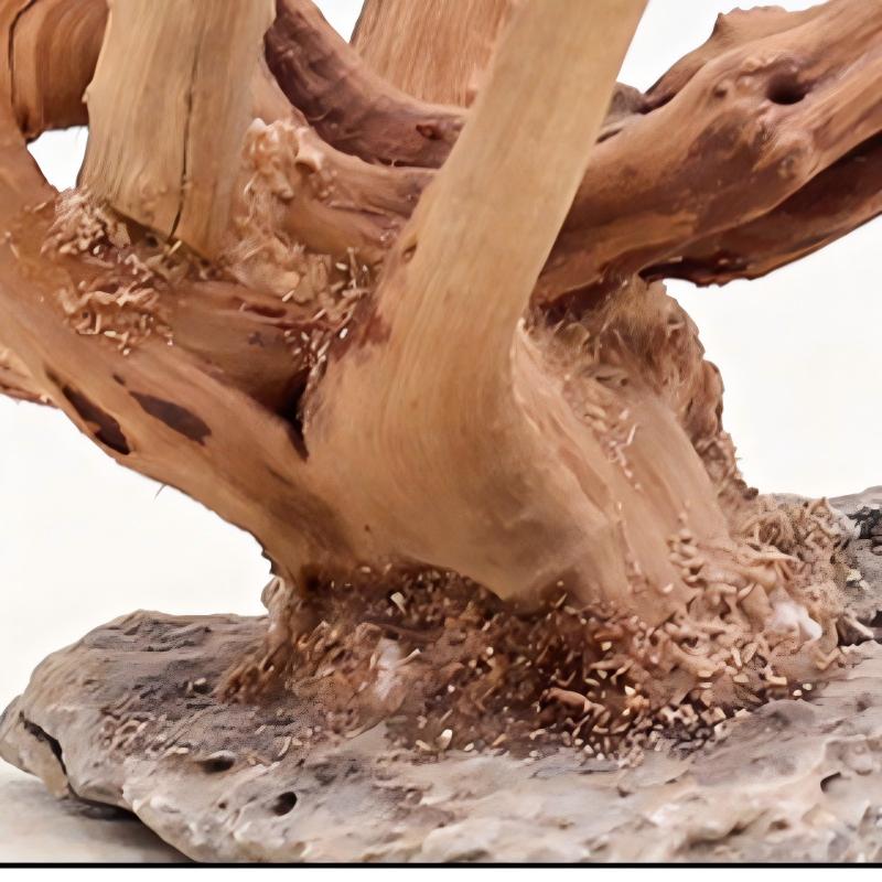 1PC Aquarium Landscaping Wood  - Aquarium Plant Guide 评论和价格