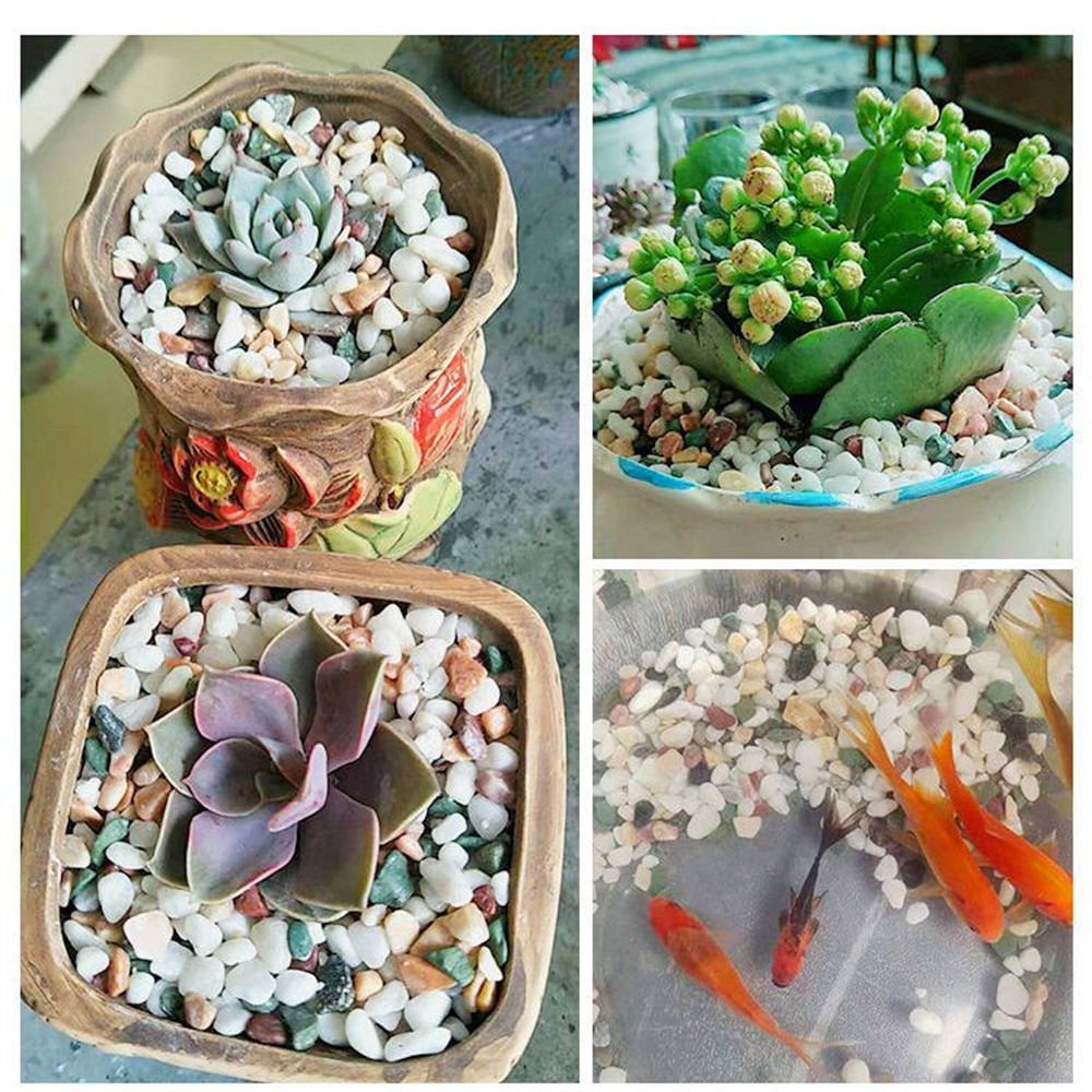 100g Natural Crystals Gravel S - Planted Aquarium With Sand 评论和价格