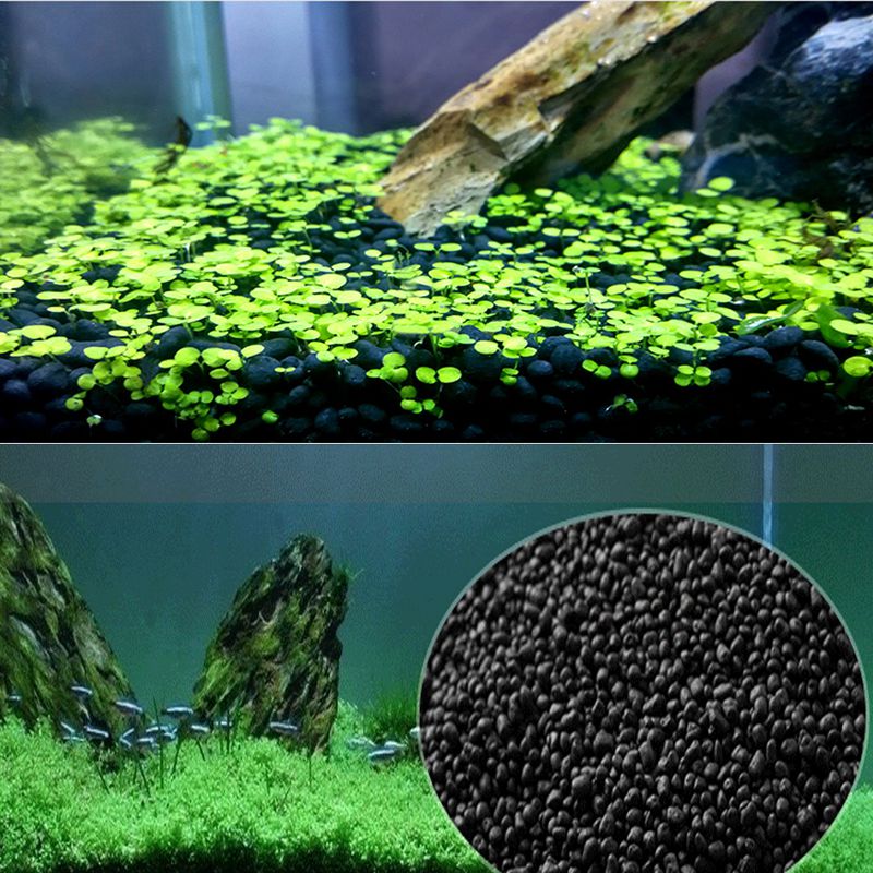 Fish  Sand Auarium Substrate 1 - Planted Aquarium With Sand 评论和价格