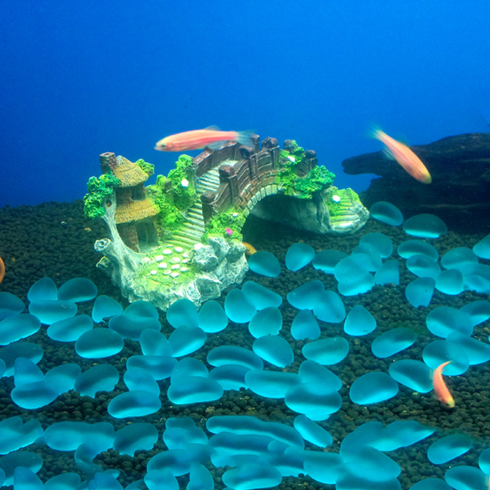 Aquarium Accessories Arbor Tre - Aquarium Plant Guide 评论和价格