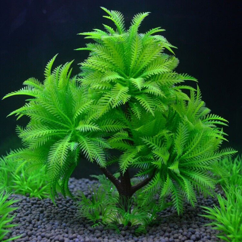 Aquarium Decorative Simulation - Aquarium Plant Guide 评论和价格