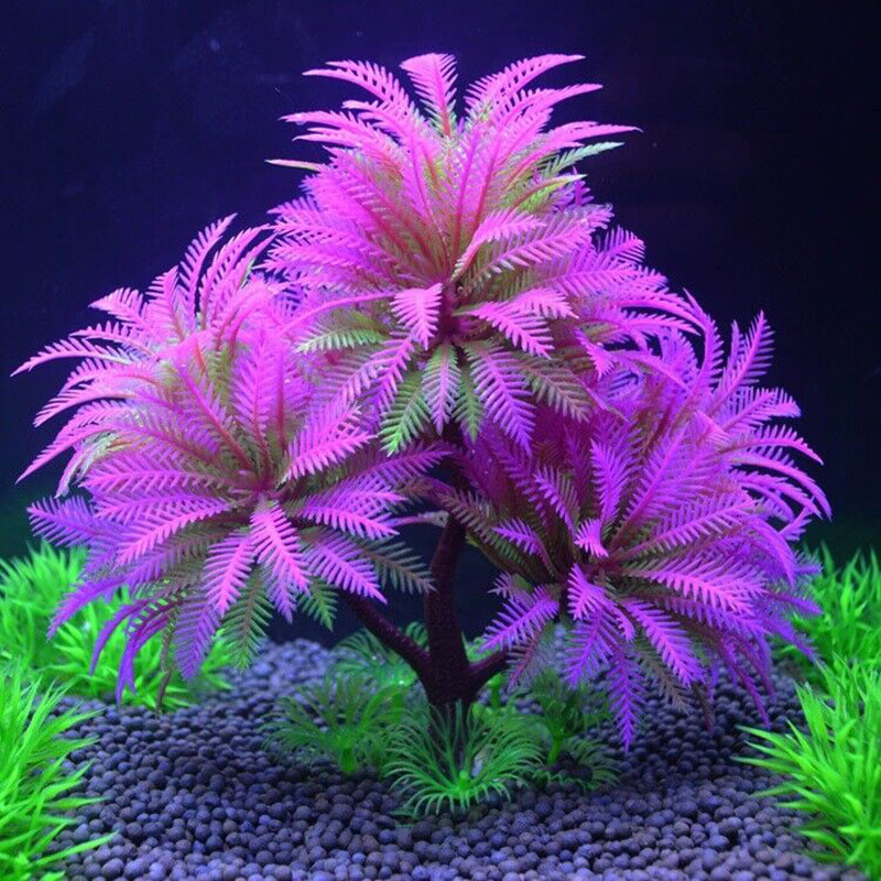 Aquarium Decorative Simulation - Aquarium Plant Guide 评论和价格